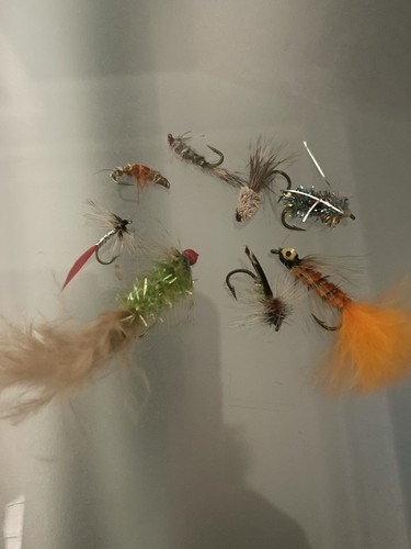 Job lot fishing flies lures - lot,