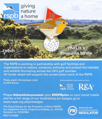 Rspb pin badge - rspb, special