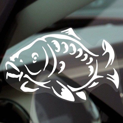 Carp fishing sign car - x,
