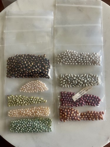 Large freshwater pearl bead - freshwater,