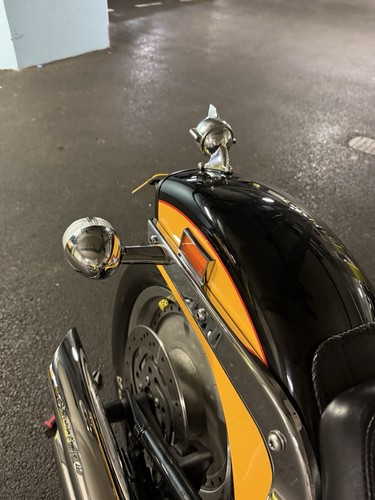 Harley davidson softail - harley,