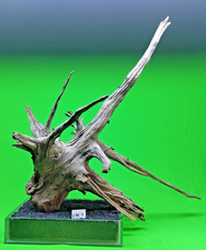 Large Corbo Root CBL9 AQUARIUM