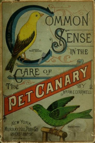 Rare cage bird - bird, books
