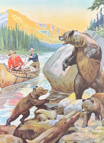 Original vintage bear - original,