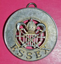 Essex Allied Masonic Degrees Past District Grand Officer jewel