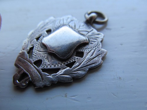Solid silver pocket - silver,