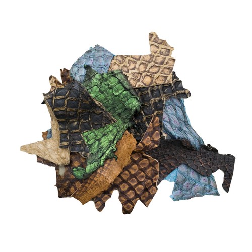 Pirarucu fish leather scrap - pirarucu,