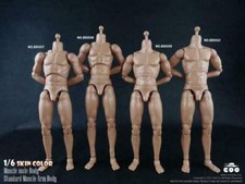 COOMODEL 1/6 Muscle Male Body