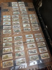 Military Motors Will’s