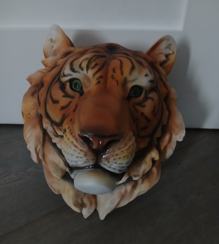 Effect tiger head - effect,