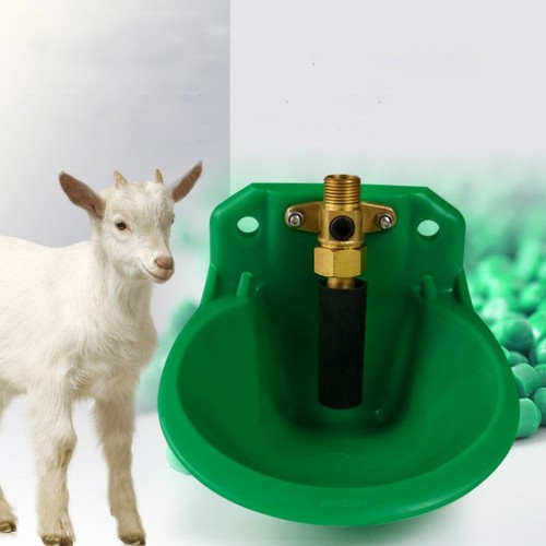 Automatic water bowl liquid - automatic,