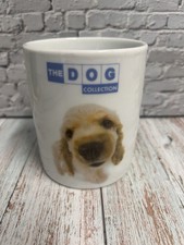 STUNNING THE DOG 🐶