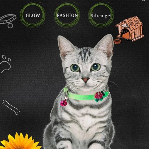 Luminous cat collar anti - collar, anti-lost