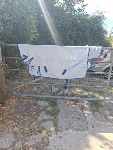 Mini shetland pony - fly, rug