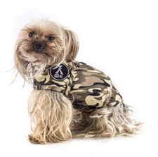 TT.WALK Dog Anxiety Relief