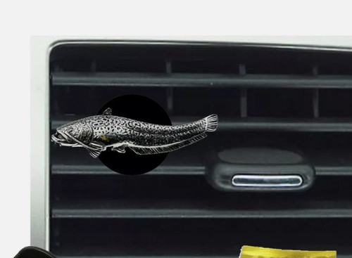 F46 wells catfish - catfish, air