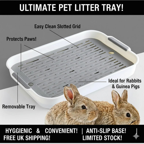 Rabbit litter box - rabbit, toilet