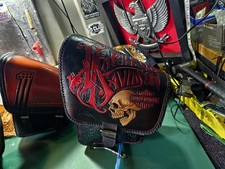 Swing Arm Bag Suit Harley