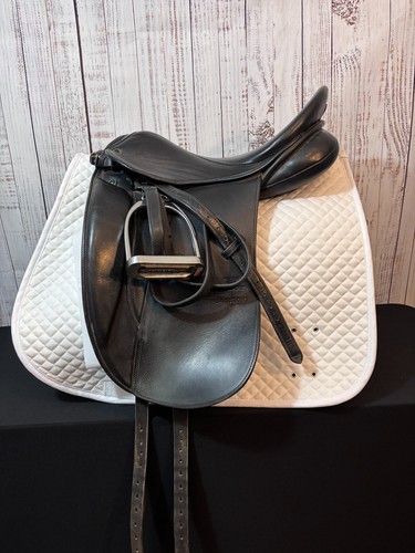 Used stubben maestoso - maestoso, dressage