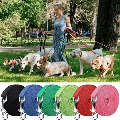 Dog long line recall - lead, |