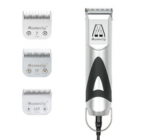 Masterclip Wirehaired Dog