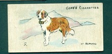COPE'S - DOGS OF THE WORLD, no.31 ST. BERNARD 1912 ISSUE TYPE CARD
