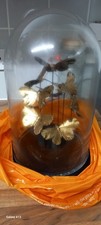 Vintage - Gold Butterfly Glass Dome