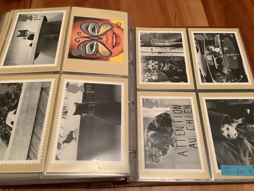 Royal postcards 1995 2000 295 - royal, 1995-2000