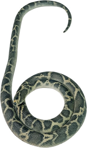 Rubber snake realistic - rubber,