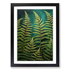 Fern Leaf Informel Framed