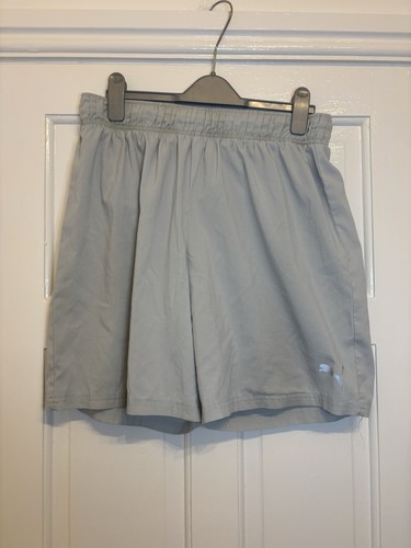 Puma grey and silver mens - and,