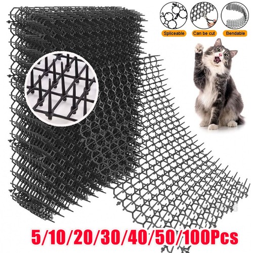 100 pack cat scat - scat, mat