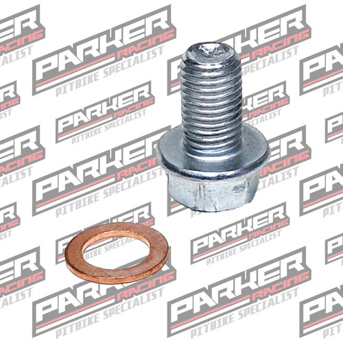 Daytona cylinder blanking bolt - blanking,