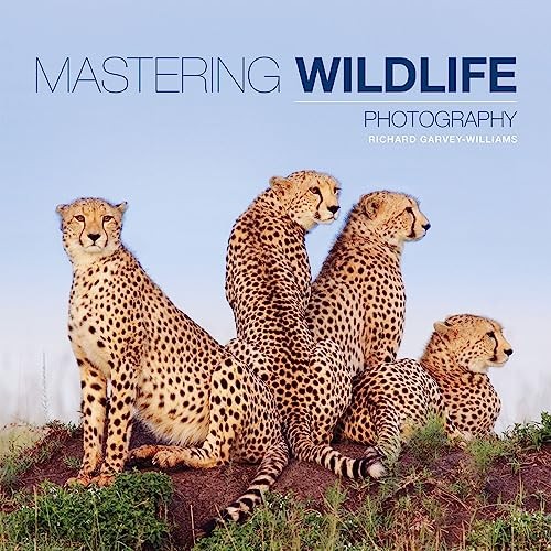 Mastering wildlife photography - wildlife,