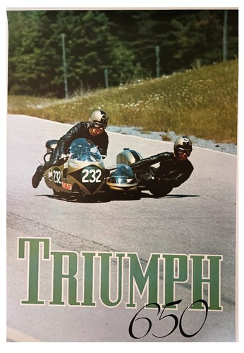 Triumph 650 racing - 650, poster