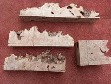 Macassar Ebony Burl Offcut