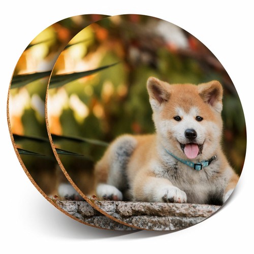 Coasters japanese akita - -,