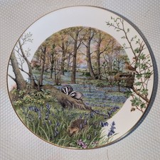 Royal Worcester 23 cm Plate