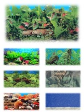 Aquarium Fish Tank Vivarium Background Picture Poster 15"/40cm tall/drop/height2