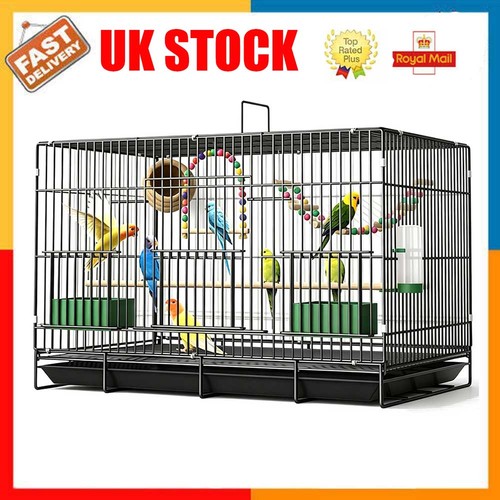 Bird cage siam budgie - siam,
