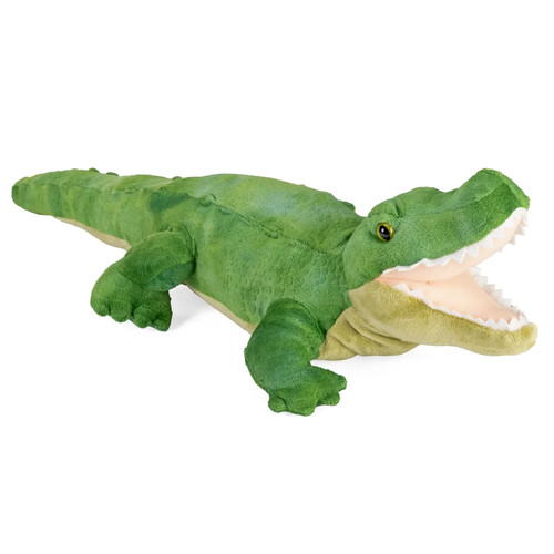 Alligator crocodile wild - crocodile,
