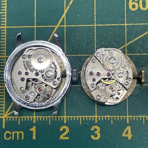 Rotary ladies watch - x,