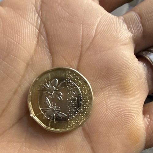 2017 one pound - 2017, coin