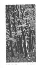 Wood Engraving SUE SCULLARD