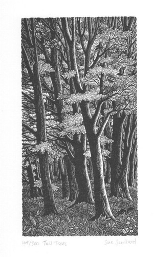 Wood engraving sue - sue, scullard