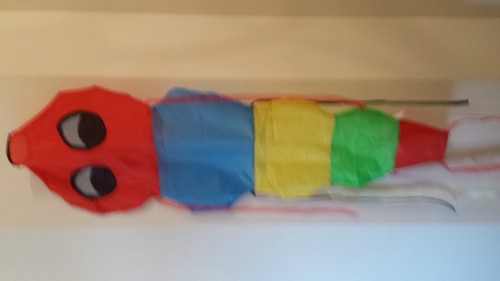 Novelty windsocks fish - novelty,