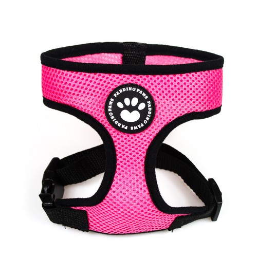 Dog cat puppy - dog, harness