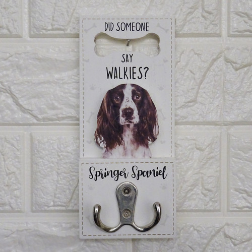 Springer spaniel dog - spaniel,