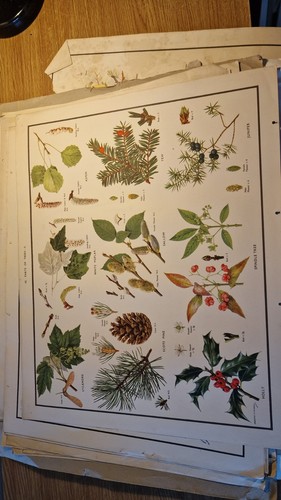 Vintage macmillan school - vintage,
