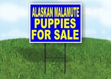 Alaskan Malamute PUPPIES FOR